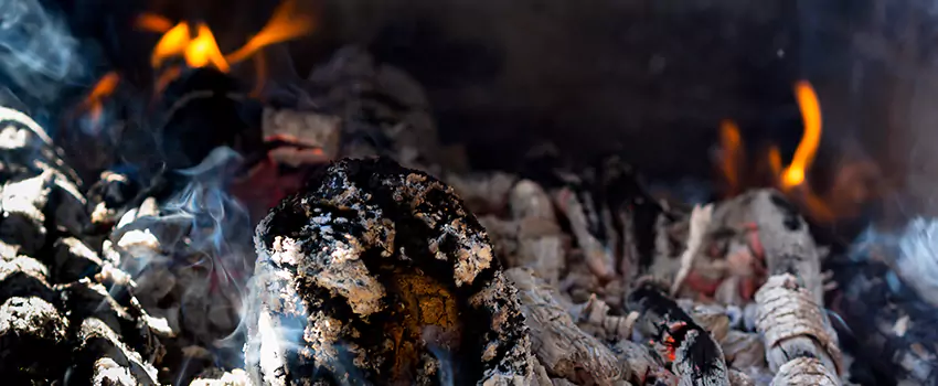 Creosote Removal Experts in Blaine, MN