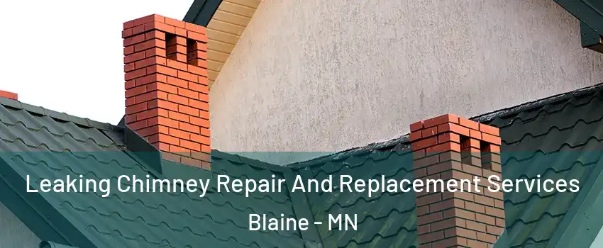  Leaking Chimney Repair And Replacement Services Blaine - MN
