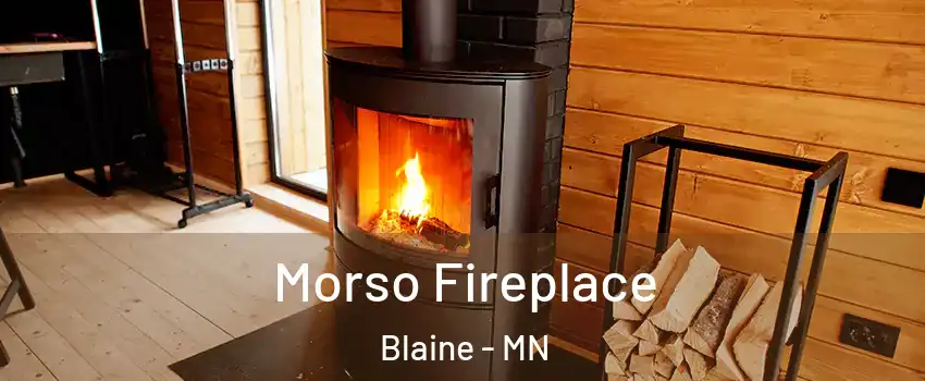  Morso Fireplace Blaine - MN