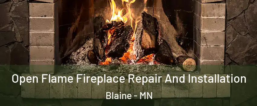  Open Flame Fireplace Repair And Installation Blaine - MN