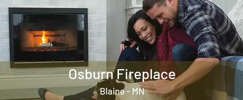  Osburn Fireplace Blaine - MN