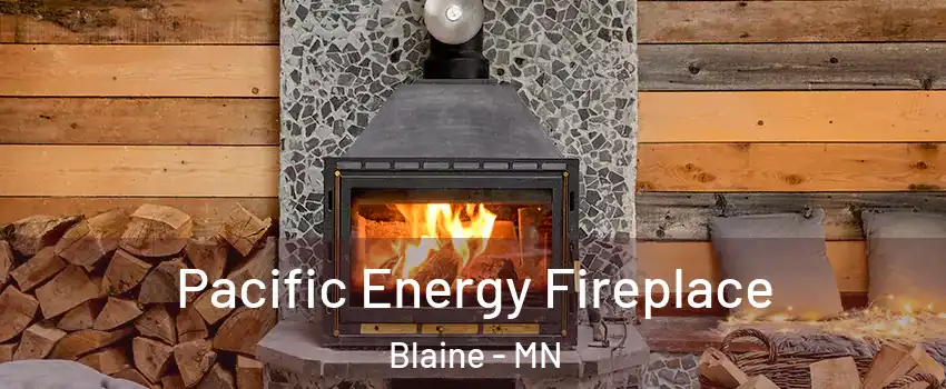  Pacific Energy Fireplace Blaine - MN