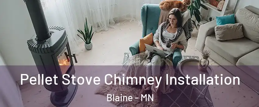  Pellet Stove Chimney Installation Blaine - MN