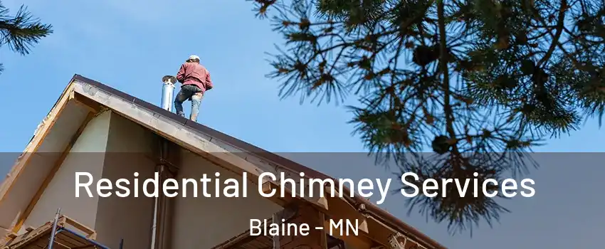  Residential Chimney Services Blaine - MN