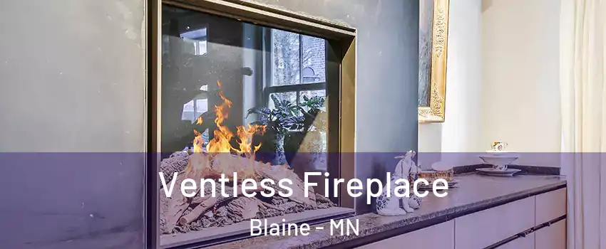  Ventless Fireplace Blaine - MN