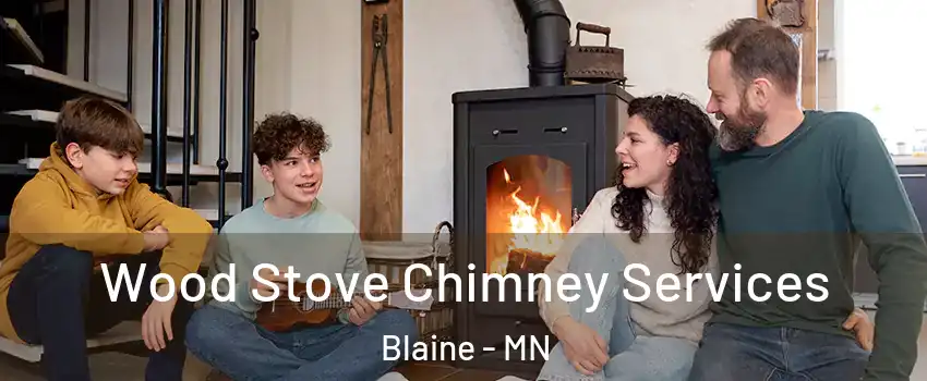  Wood Stove Chimney Services Blaine - MN