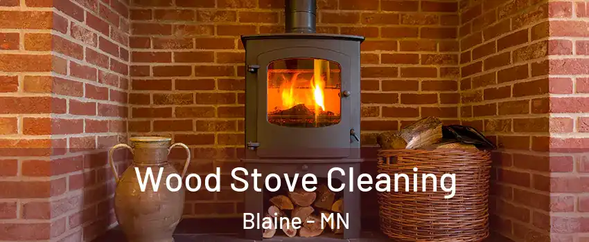  Wood Stove Cleaning Blaine - MN